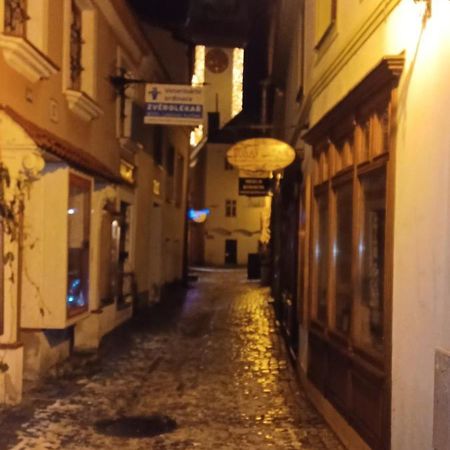 Apartman Pod Hradem Znojmo Kültér fotó